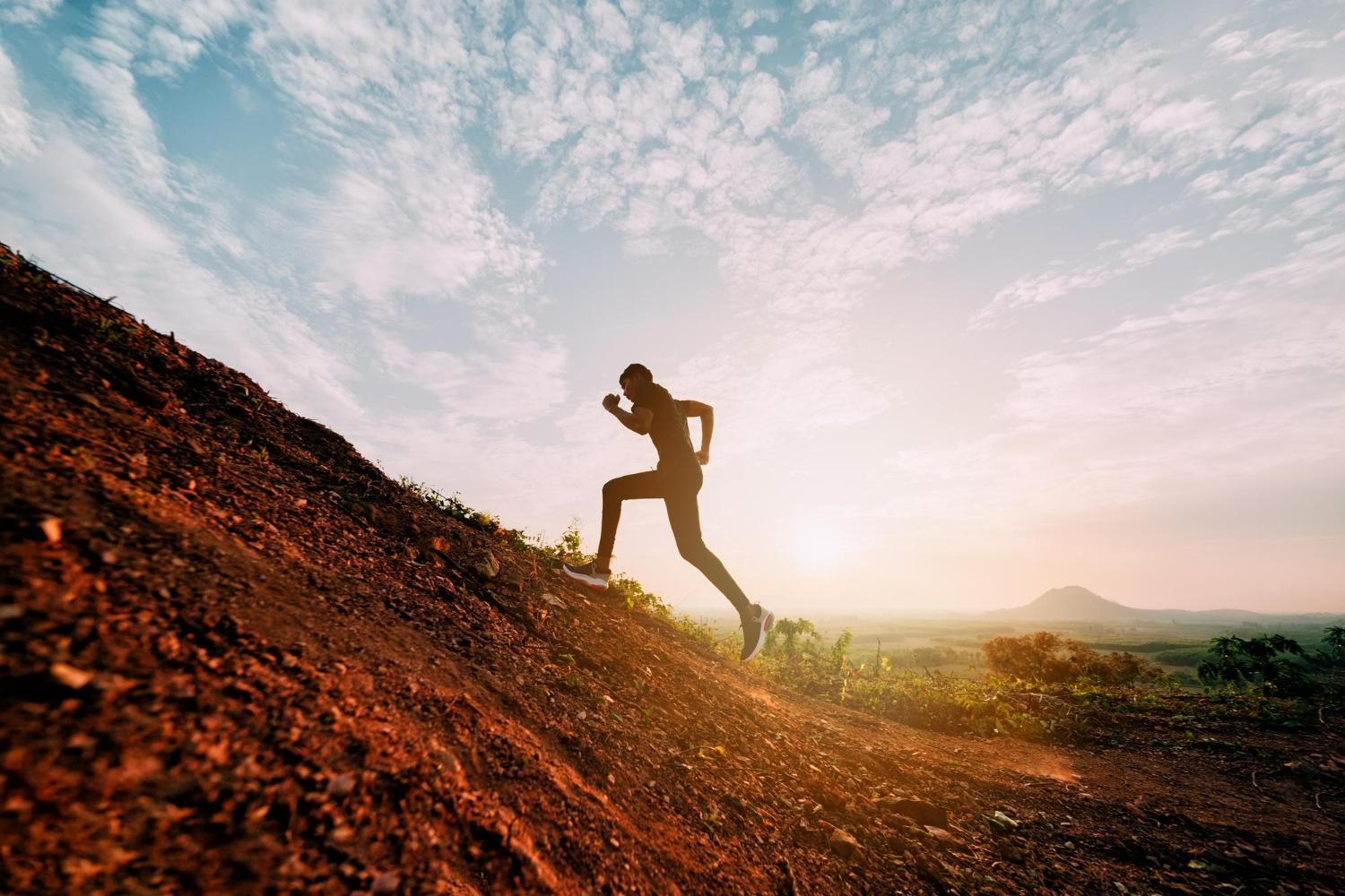 Système de formation en endurance